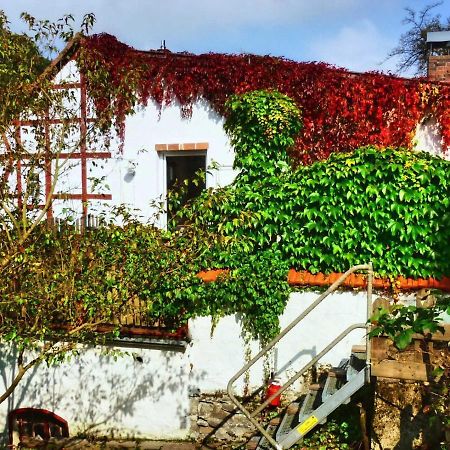 Zeitraum Fewo Apartamento Bad Wildungen Exterior foto